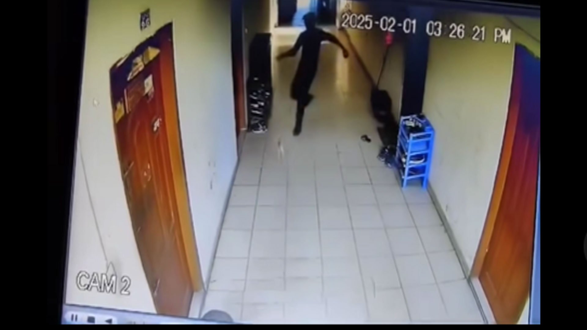 লাথি মেরে বিড়াল হত্যা: মোহাম্মদপুরের সেই যুবকের বিরুদ্ধে গ্রেপ্তারি পরোয়ানা