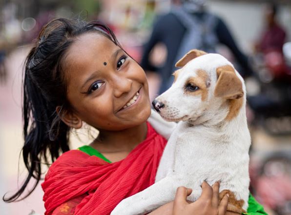 মানুষ কেন অবলা প্রাণীকে কষ্ট দেয়: মনস্তাত্ত্বিক ব্যাখ্যা