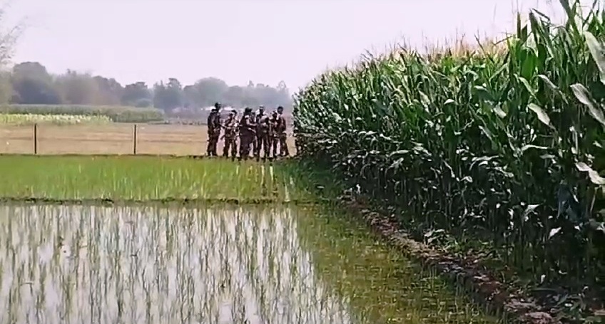 দহগ্রামে আবার কাঁটাতারের বেড়া নির্মাণের চেষ্টা বিএসএফের, বিজিবির বাধা