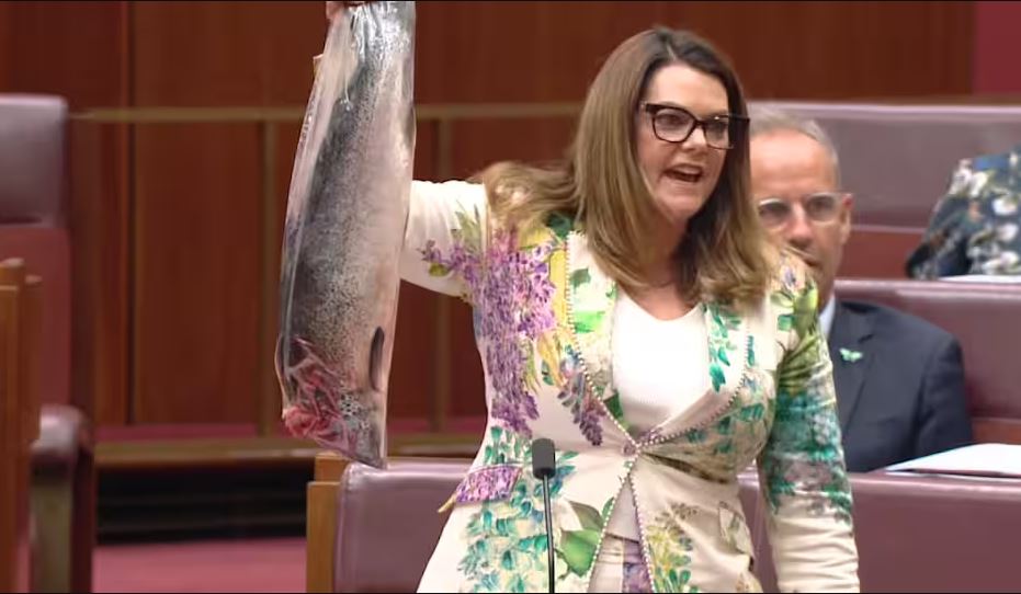 অস্ট্রেলিয়ার সিনেটে মরা-পচা মাছ উঁচিয়ে আইনপ্রণেতার প্রতিবাদ