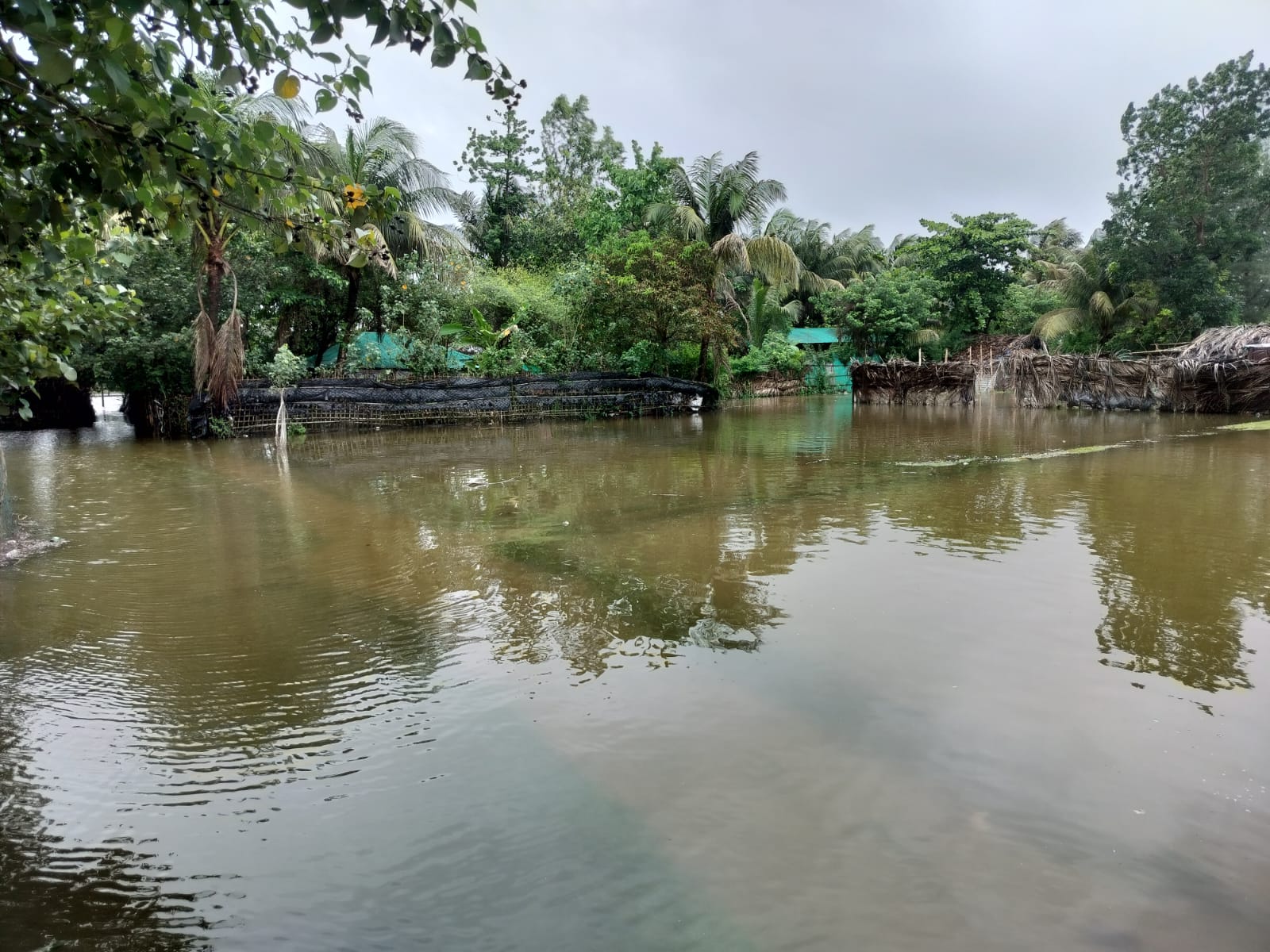 মহেশখালীতে বাঁধ উপচে সাগরের পানি লোকালয়ে, ডুবে একজনের মৃত্যু