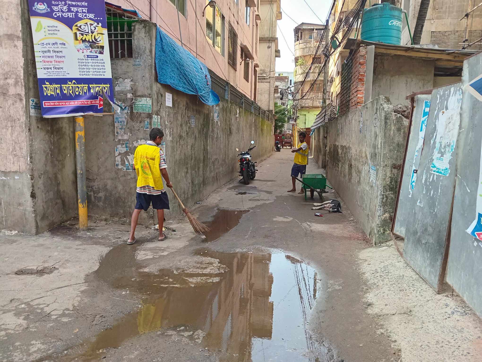 পশুর বর্জ্য অপসারণে ৪ হাজার কর্মী, বেশিরভাগ কাজ শেষ: চসিক