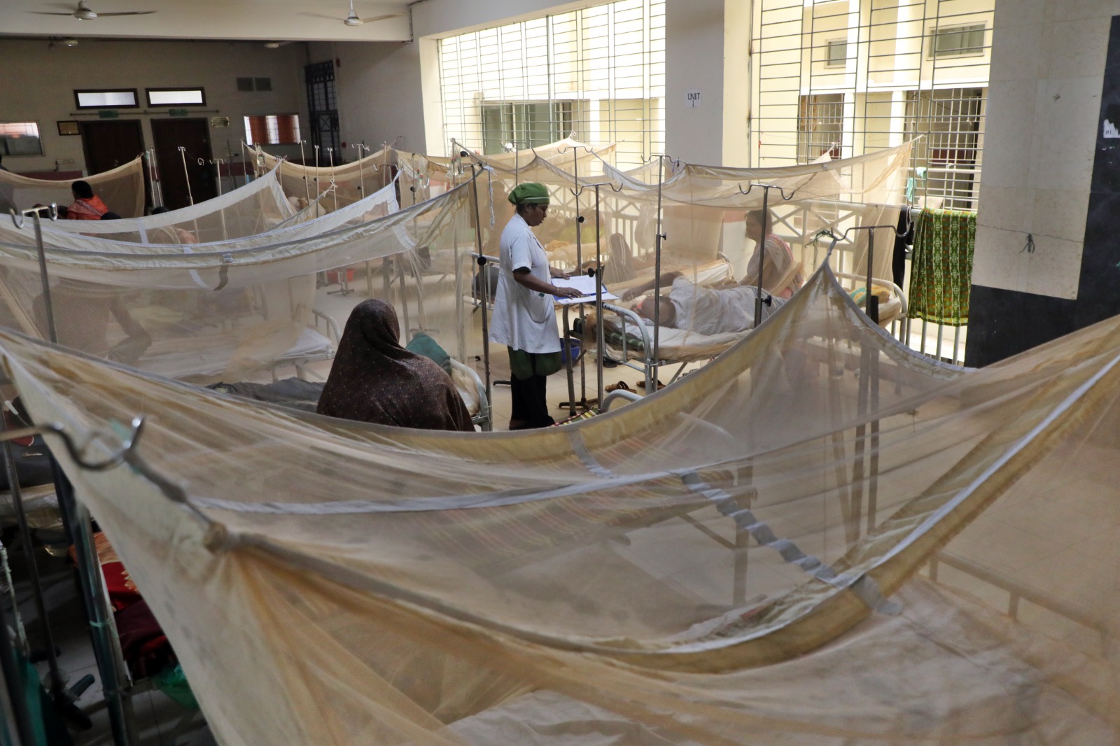 করোনা ও ডেঙ্গু সংক্রমণের ভেতর চিকুনগুনিয়ার চোখরাঙানি, বাড়ছে শঙ্কা