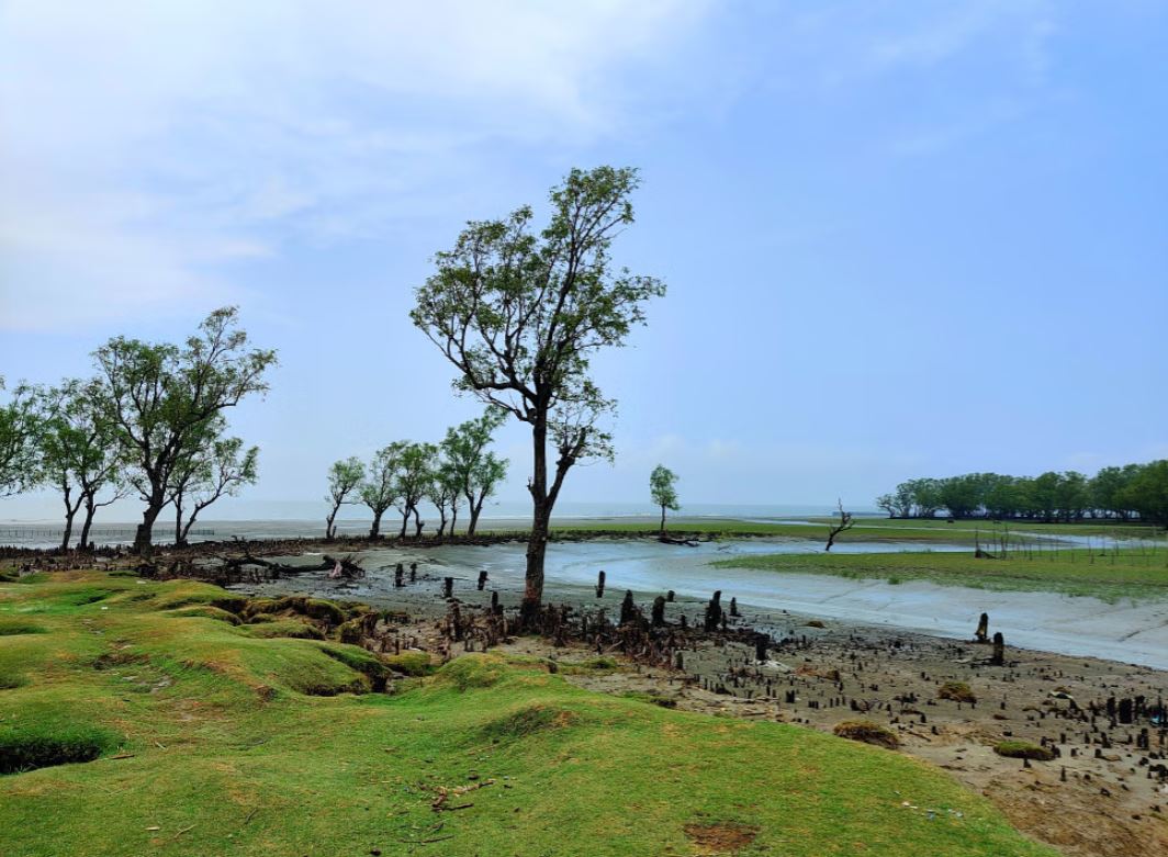 গুলিয়াখালী সমুদ্র সৈকত: ঢেউ আর সবুজের মেলবন্ধন