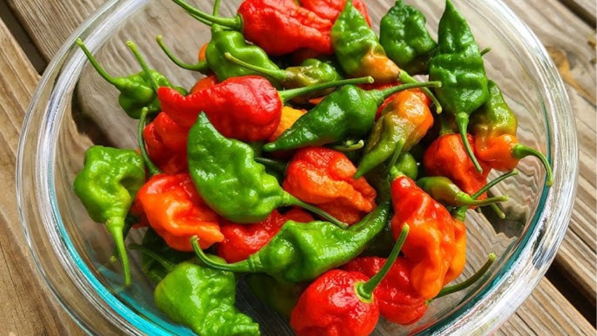 বোম্বাই মরিচের এই পুষ্টিগুণগুলো জানেন?