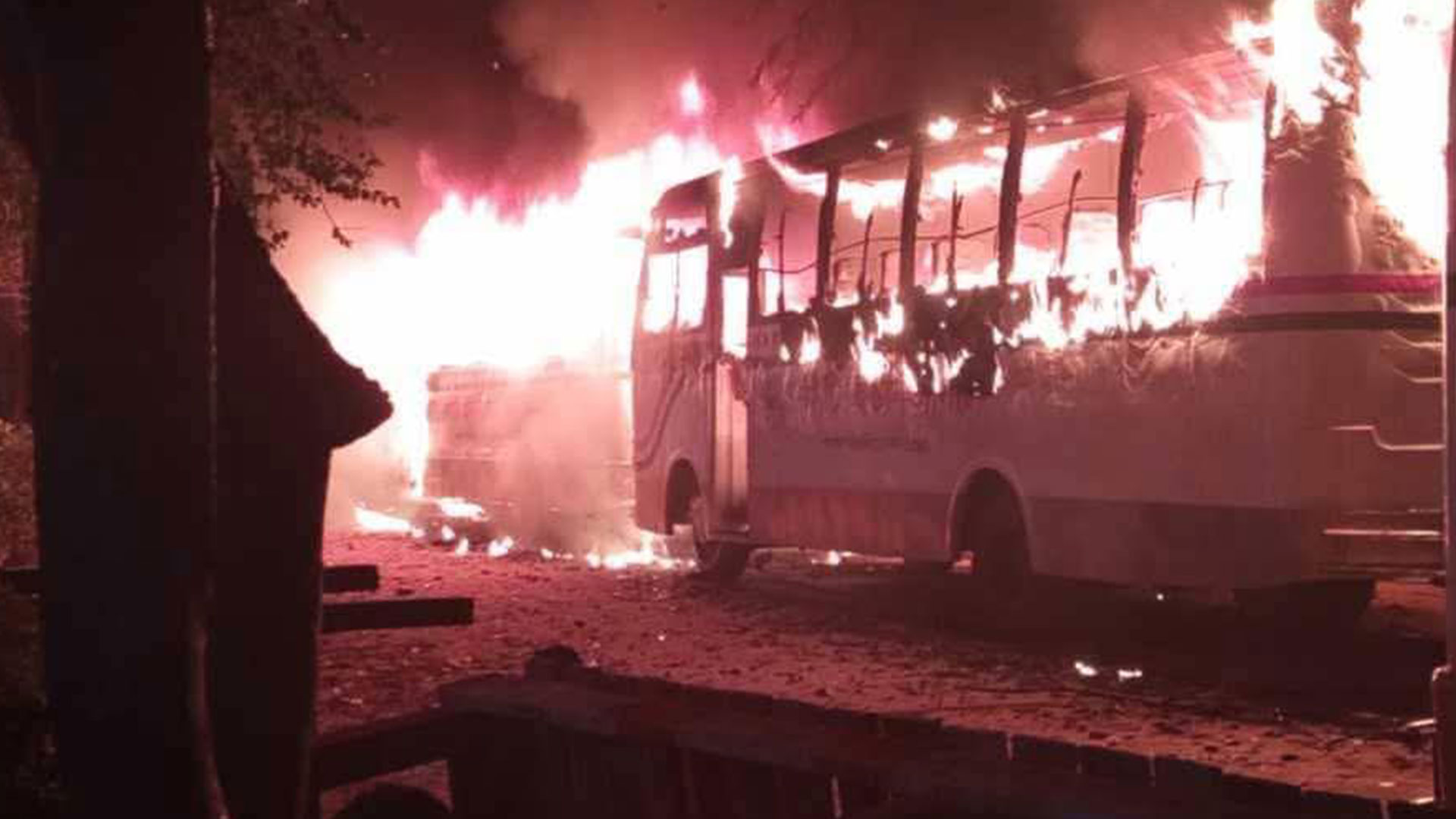 ক্ষতিপূরণ চায় সিটি ইউনিভার্সিটি, দুঃখ প্রকাশ ড্যাফোডিল কর্তৃপক্ষের