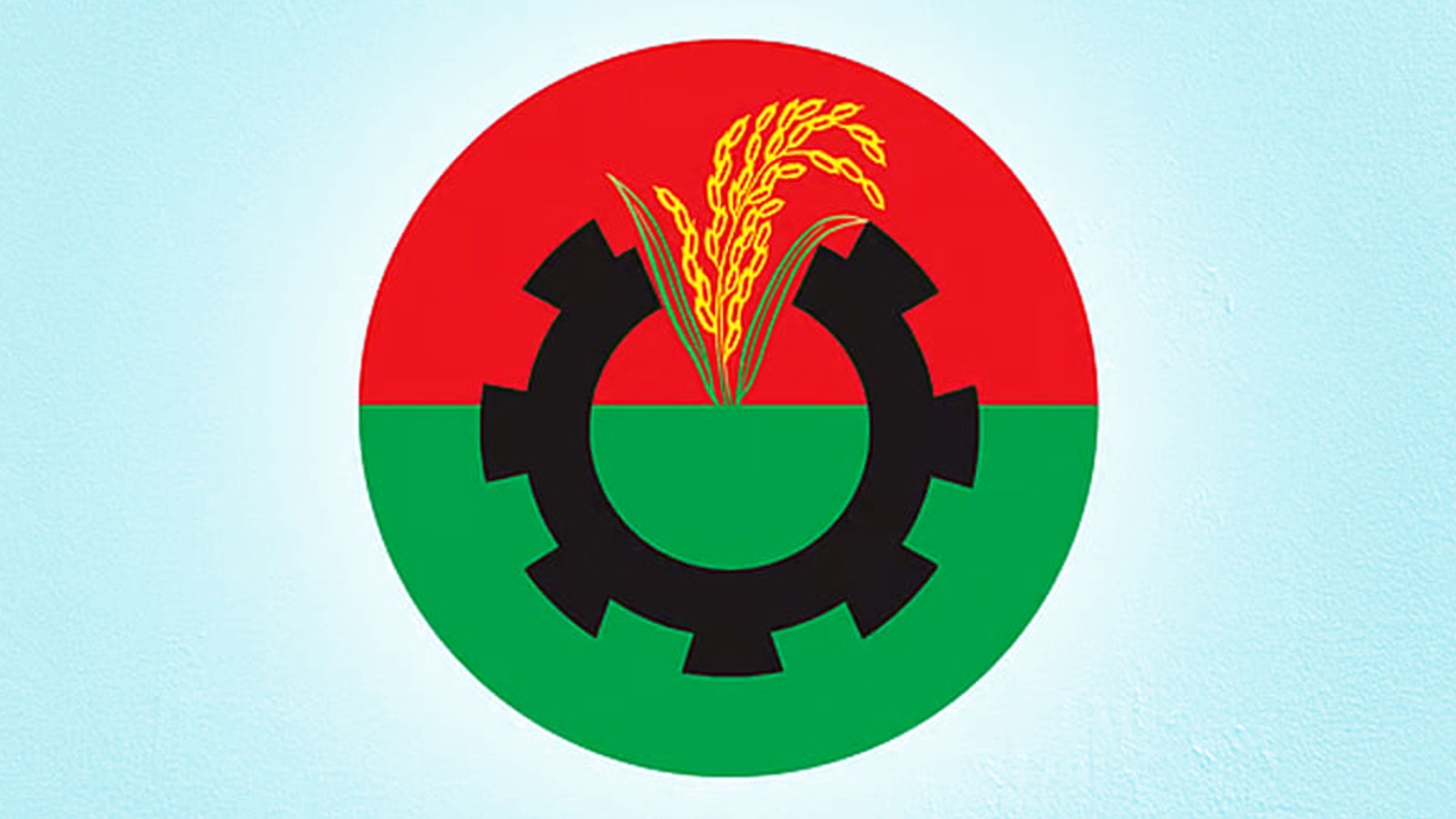 প্রাথমিক ঘোষণায় যেসব আসনে প্রার্থী দেয়নি বিএনপি