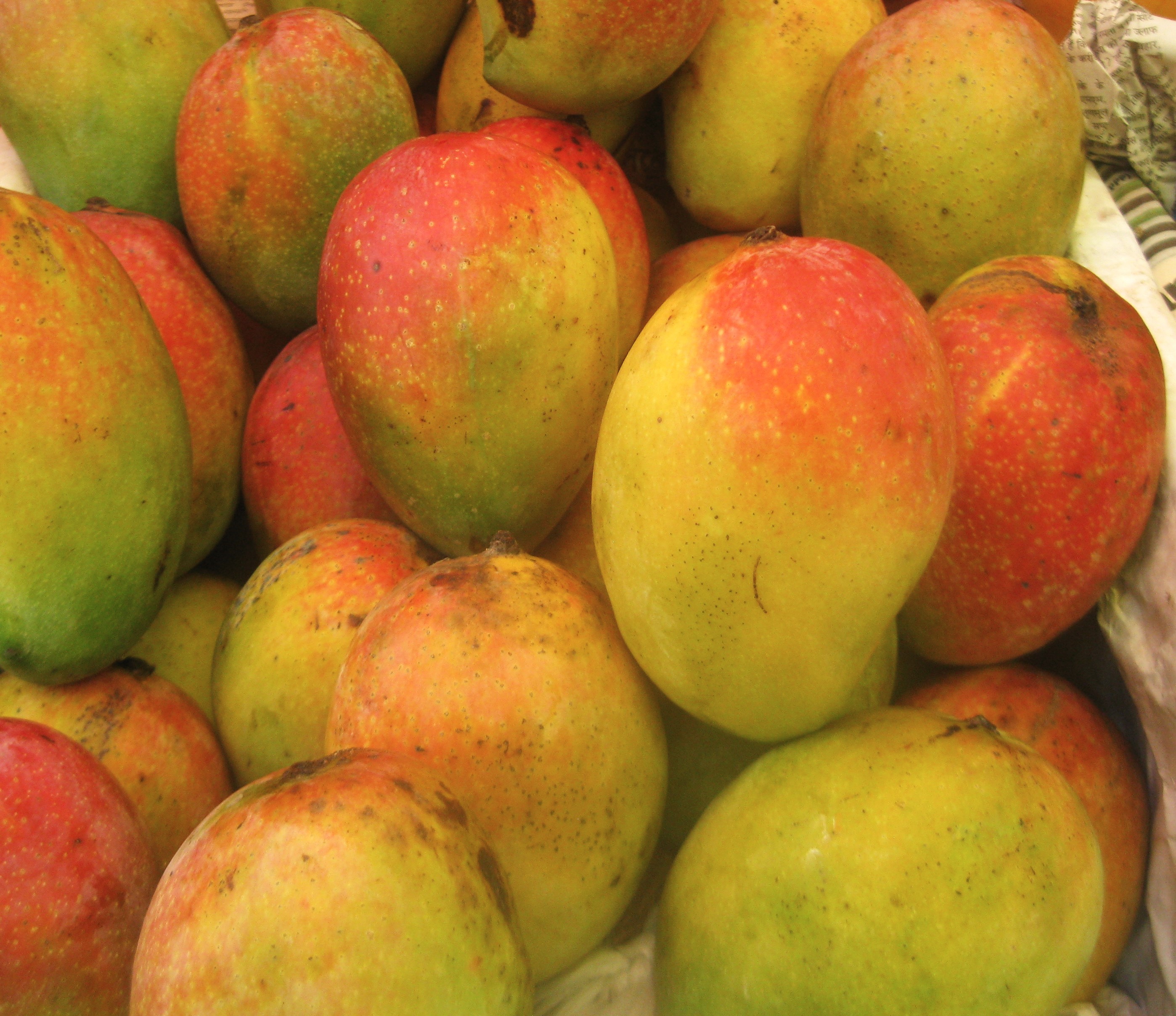 Mango