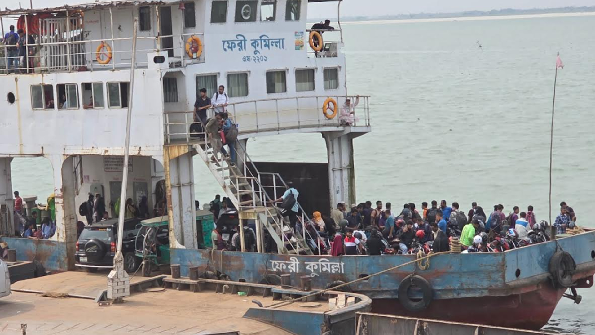 পাটুরিয়অ