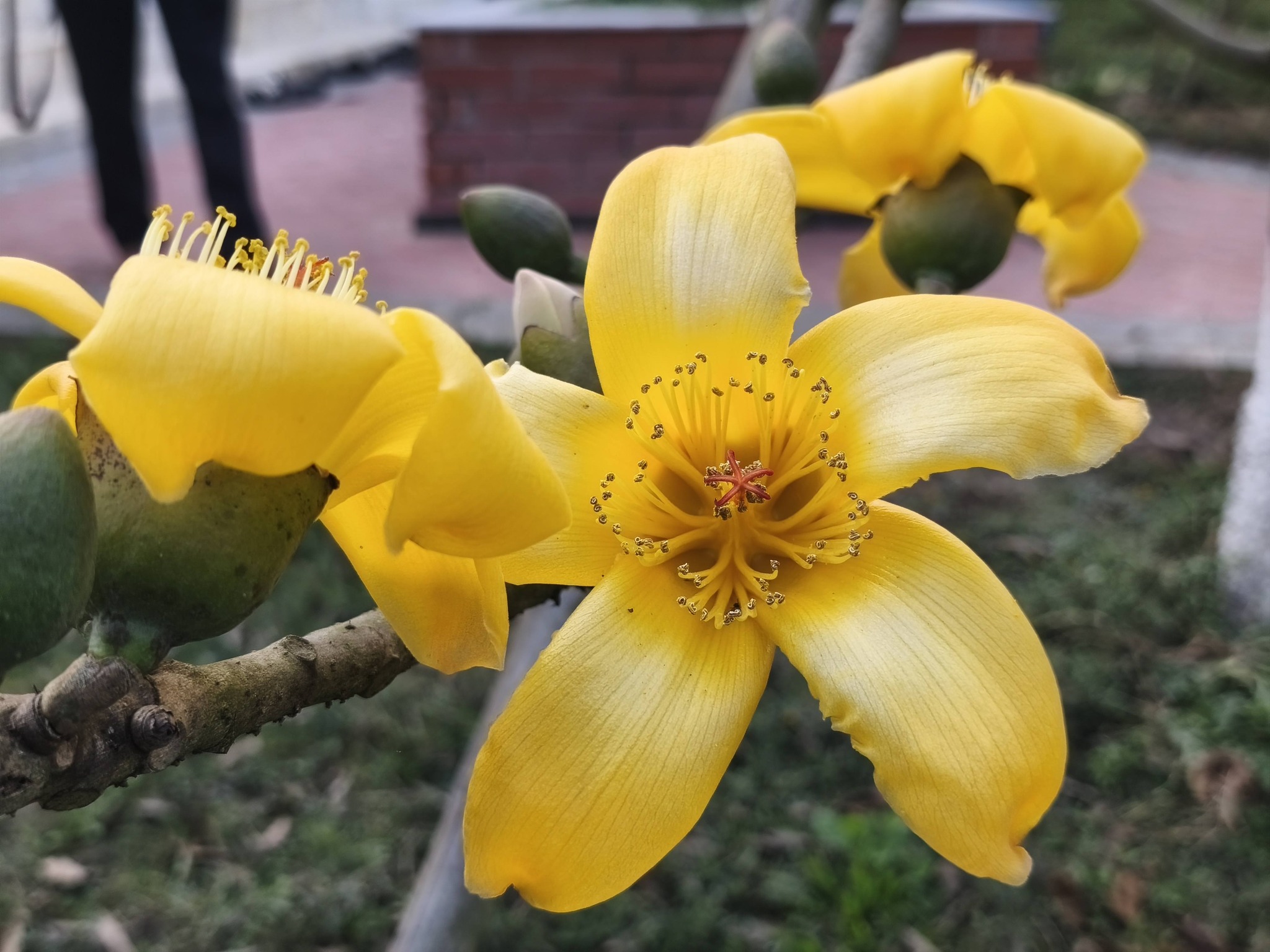 ছবি: মিন্টু দেশোয়ারা/ স্টার