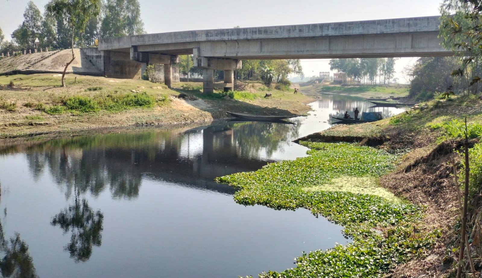 ছবি: স্টার।