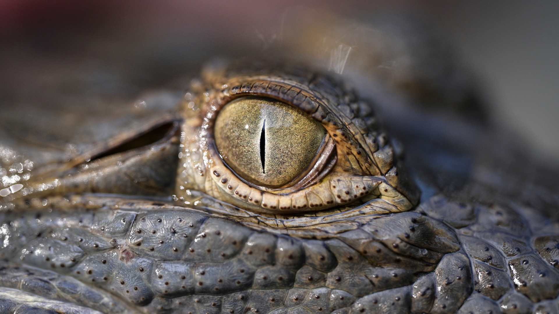 ছবি: রয়টার্স