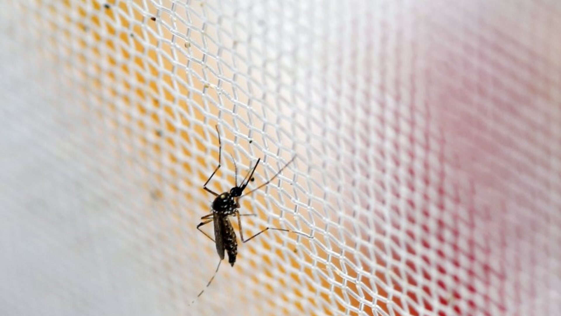 ছবি: রয়টার্স