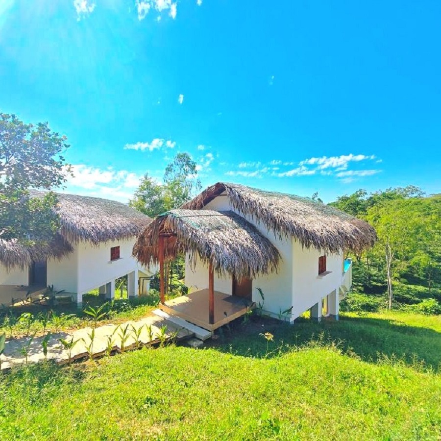 ছবি: মিন্টু দেশোয়ারা