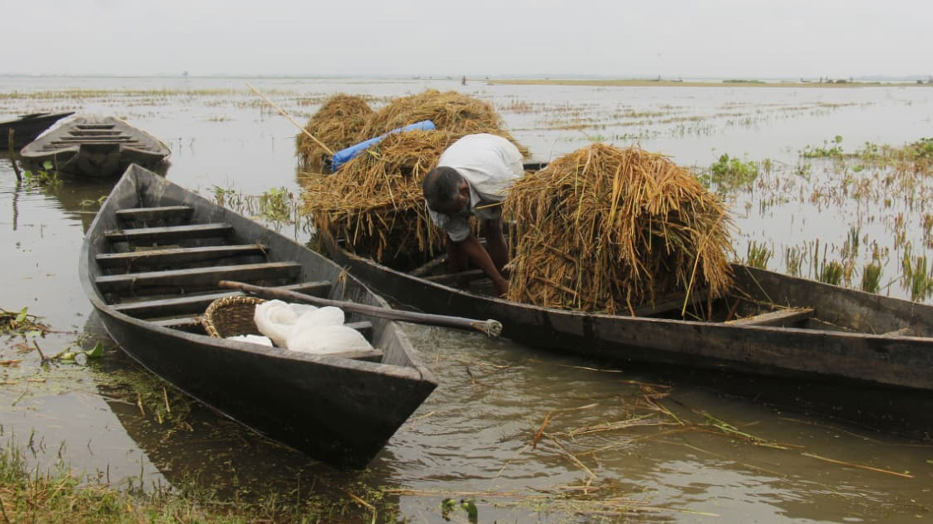 Early floods devastate Habiganj haors