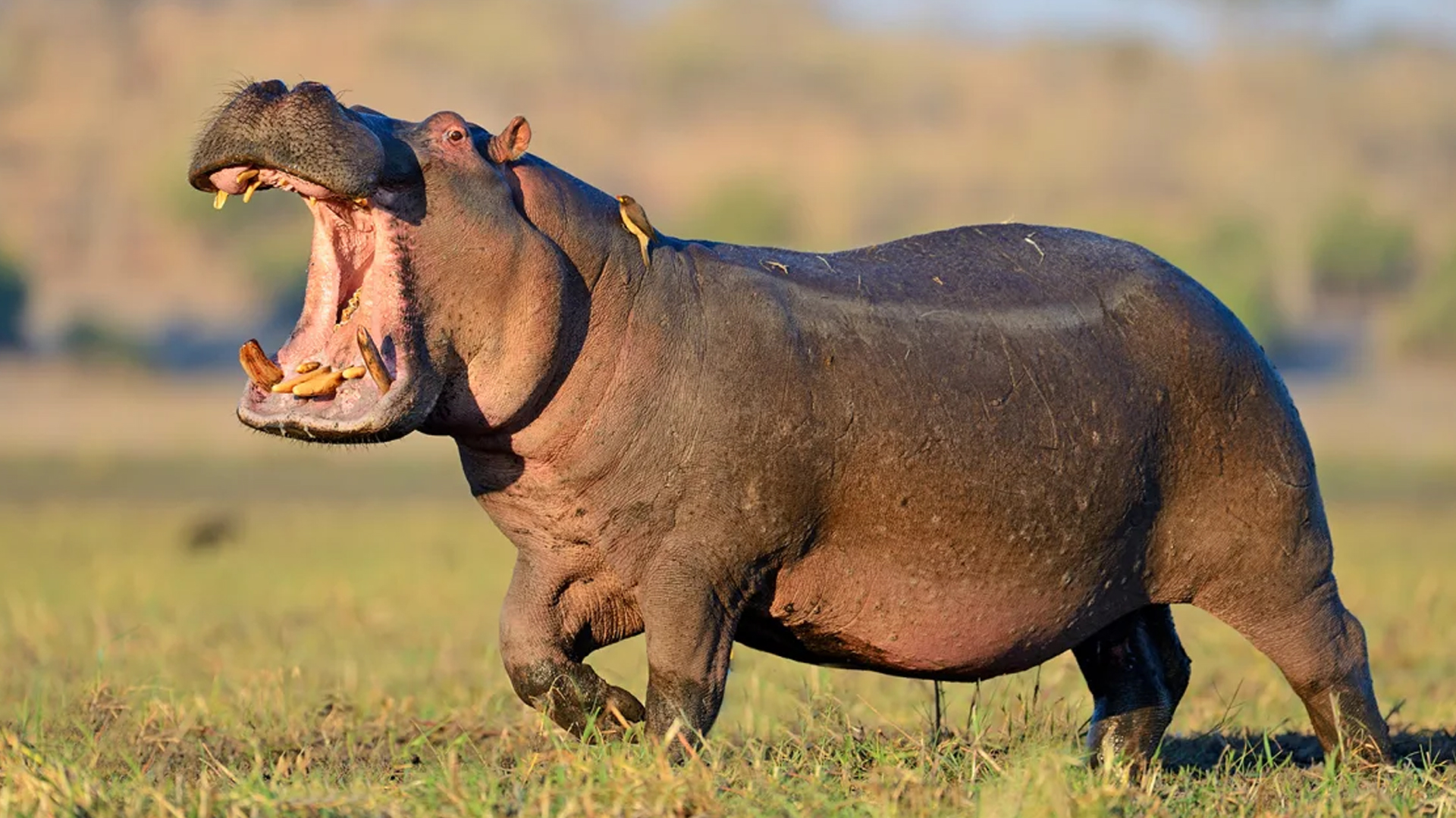 ছবি: রয়টার্স