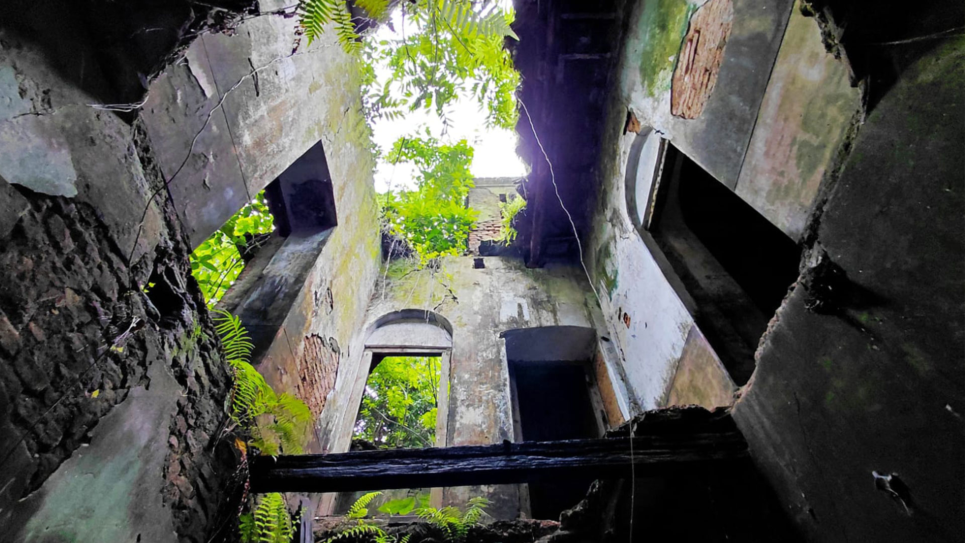 পি সি রায়ের জন্মভিটা