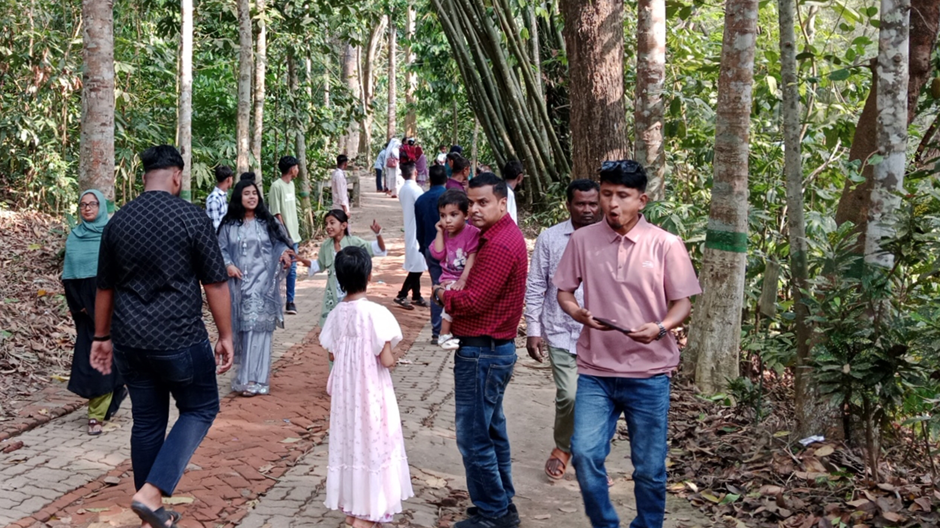 lawachara national park