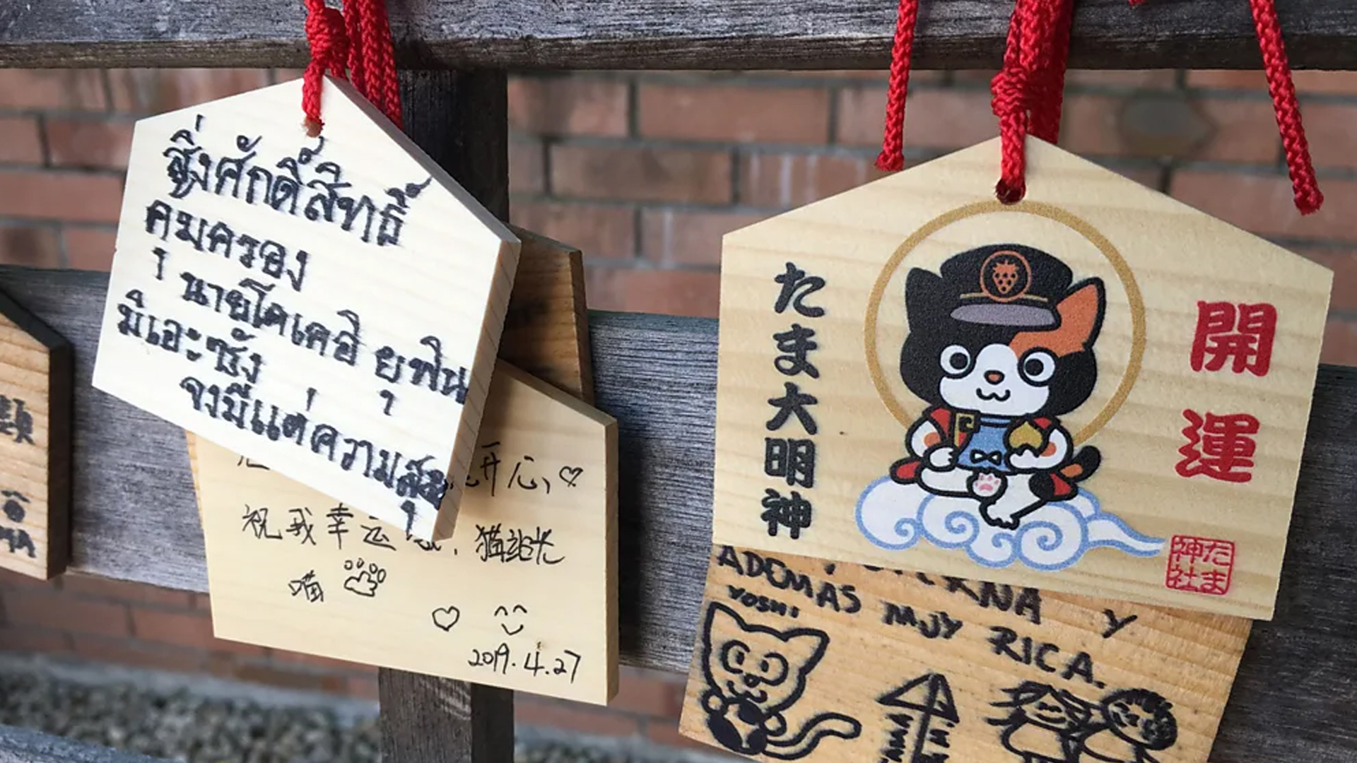 তামা মারা যাওয়ার পর তার ভক্তরা ফুলের তোড়া আর টুনা মাছের ক্যান রেখে গিয়েছিল। এখন কিশি স্টেশনের বাইরে তার জন্য একটি ছোট মন্দির আছে। ছবি: সংগৃহীত