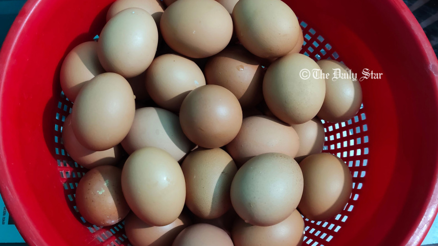 কিশোরগঞ্জে নিলামে ডিম বিক্রি