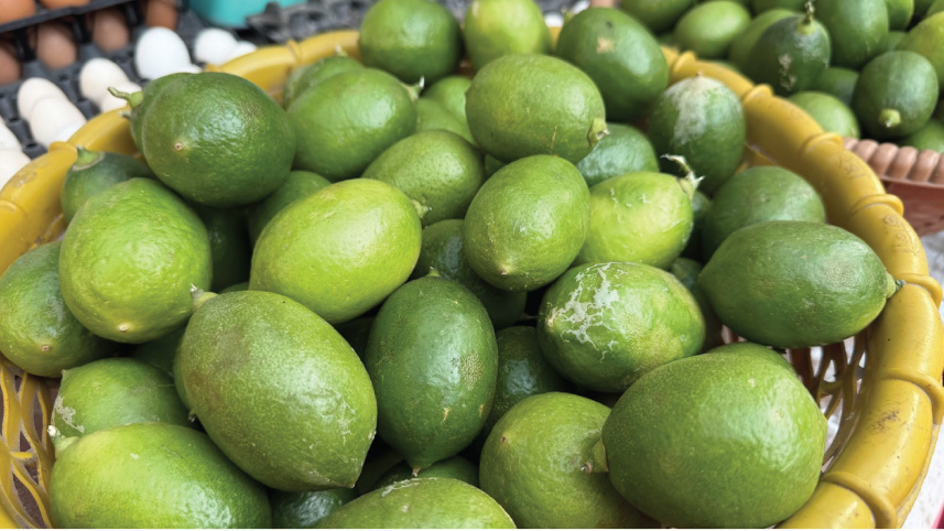 ছবি: স্টার