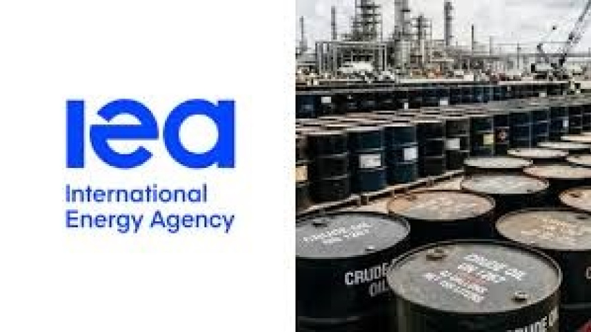 আন্তর্জাতিক জ্বালানি সংস্থা (আইইএ)। 