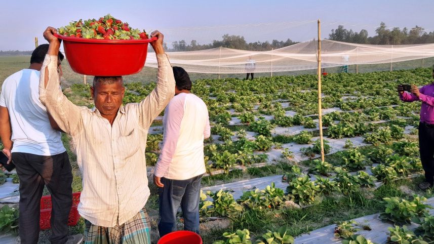 ছবি: এস দিলীপ রায়
