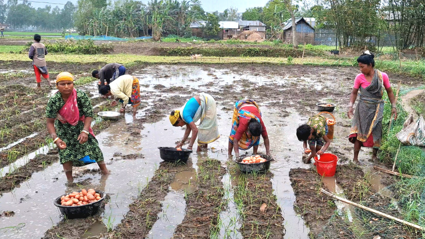 ছবি: স্টার।
