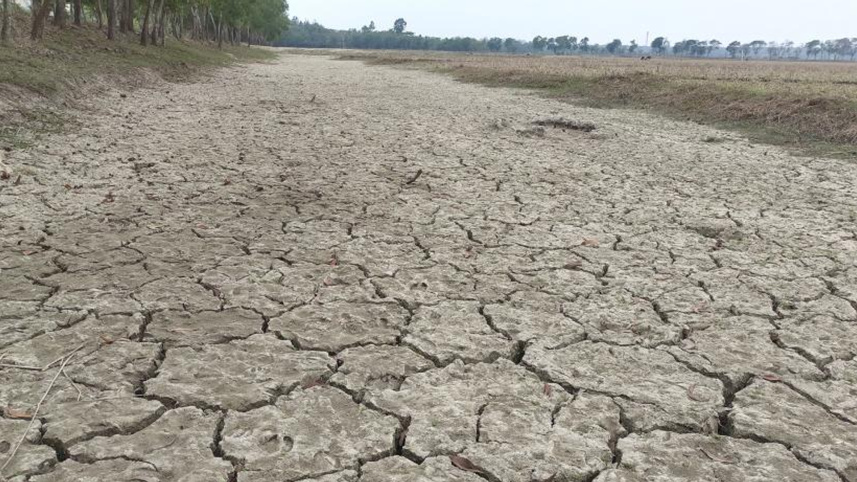 ছবি: স্টার