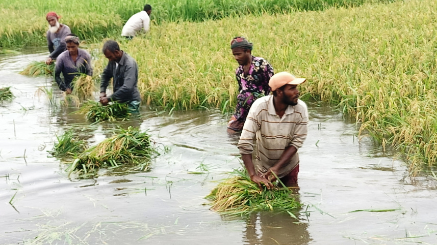 লালমনিরহাটে বন্যা