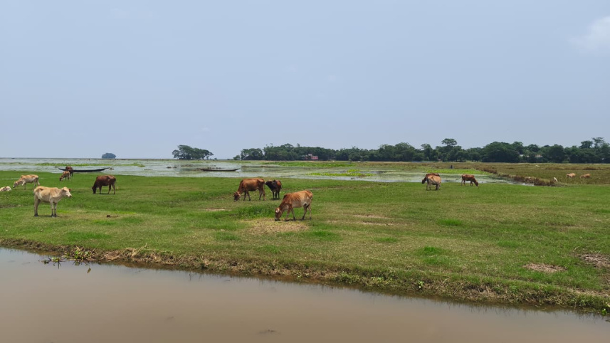 ছবি: স্টার
