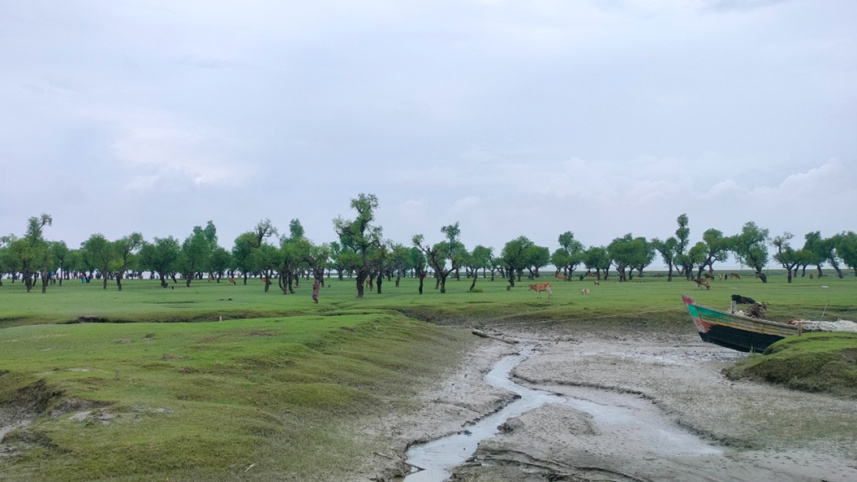 নিদ্রার-চর