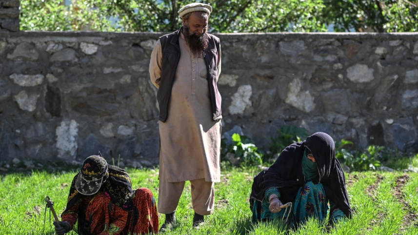 Afghanistan