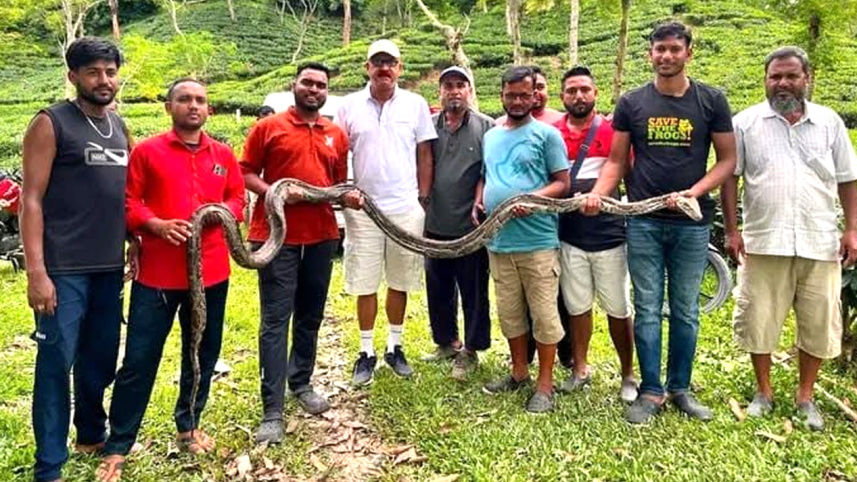 python
