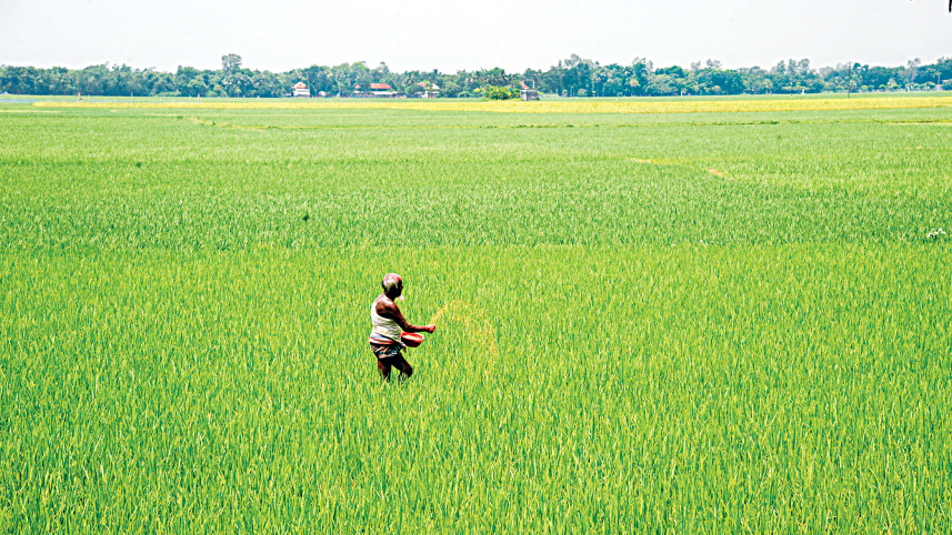 ছবি: স্টার।