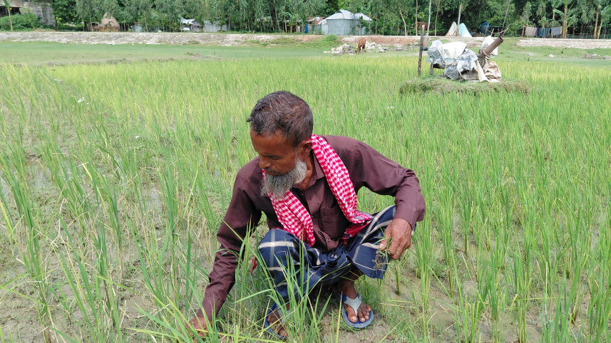 ছবি: স্টার।