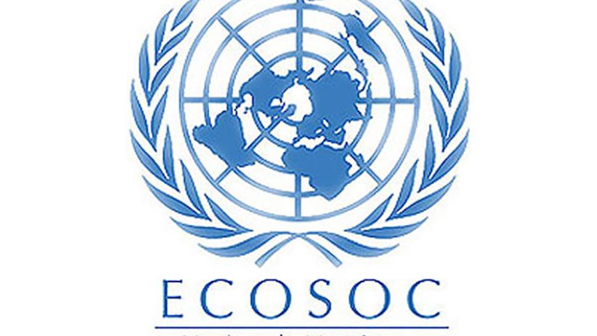 ECOSOC.jpg