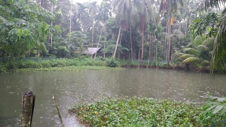 bagerhat_partha.jpg