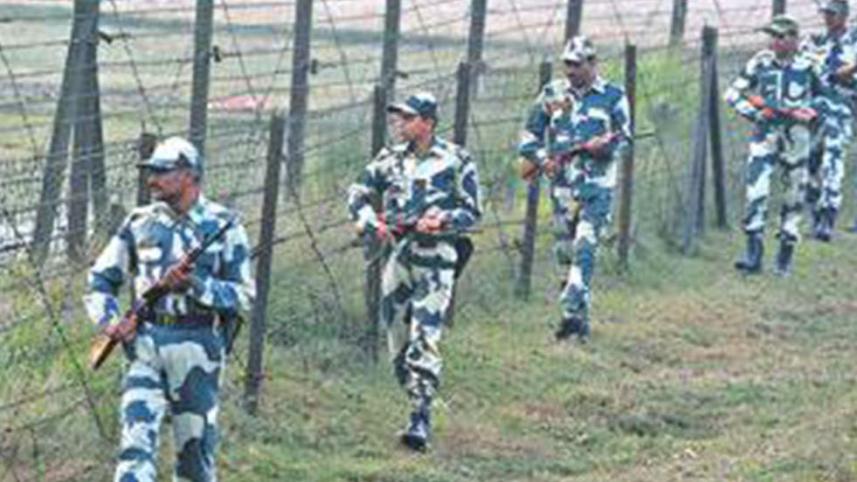 bsf-1.jpg