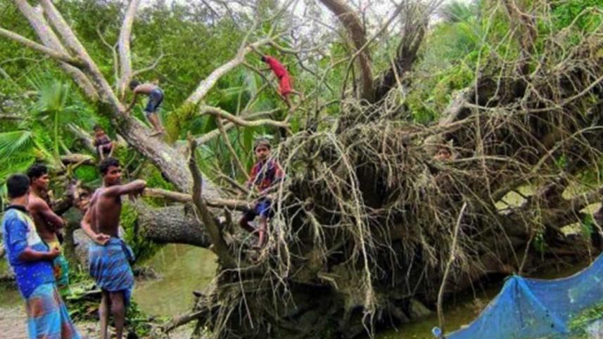 bulbul-sundarban.jpg