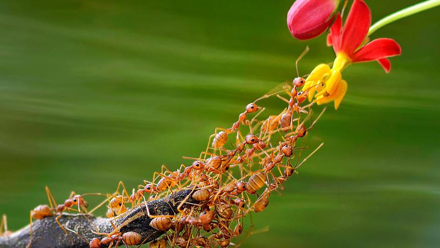 Cathch The BeautyFN.jpg