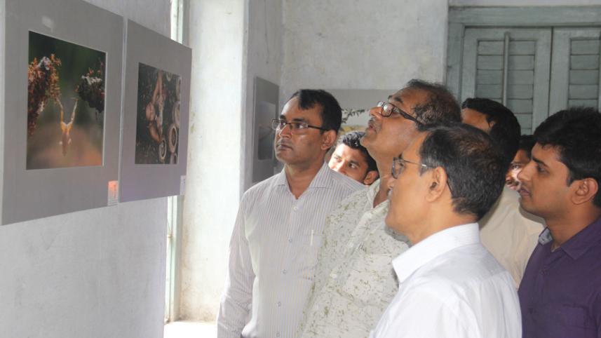 Celebrating Life in Faridpur