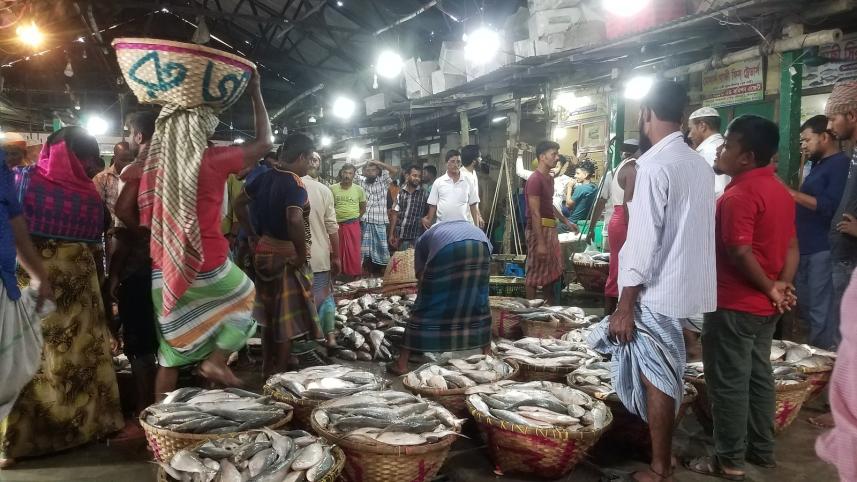 chandpur ilish pic 05.jpg