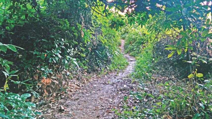 chzanpur_village.jpg