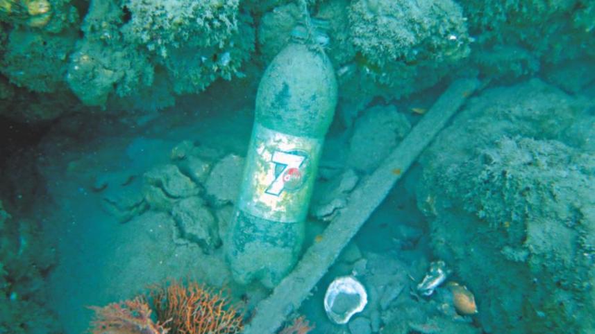 corals_2.jpg
