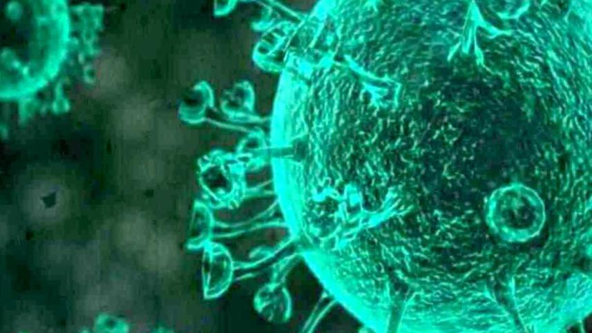 Coronavirus