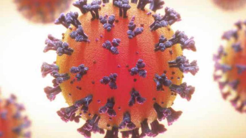 Coronavirus-1.jpg