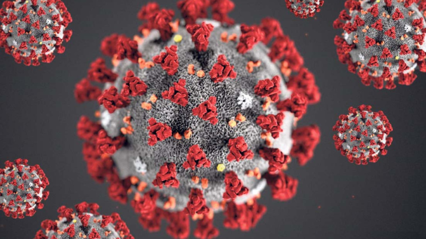 Coronavirus-1.jpg
