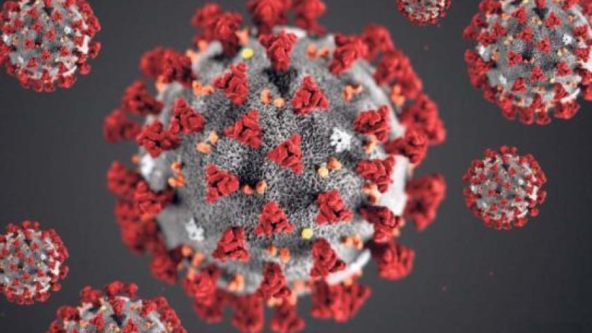 coronavirus-1_8_1.jpg