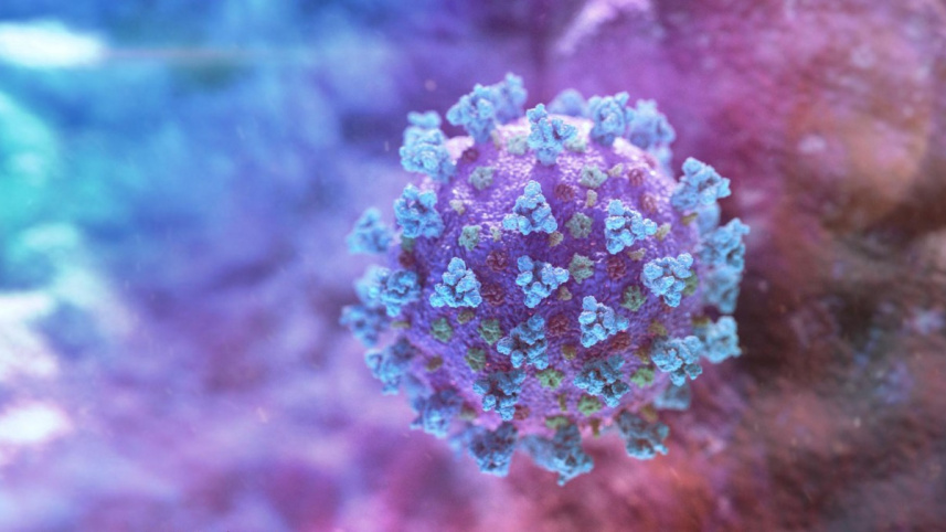 coronavirus-covid19_0.jpg